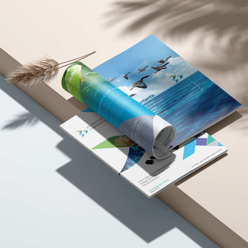 تصميم ألبوم المؤسسة